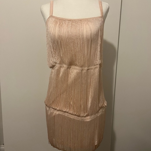 GIVING GATSBY - ROARING 20s FLAPPER GIRL DRESS - Picture 3 of 4